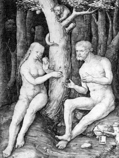Adam and Eve by Lucas van Leyden